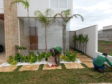 IMPLANTAÇÃO DE JARDINS